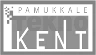 Pamukkale Üniversitesi Teknokent